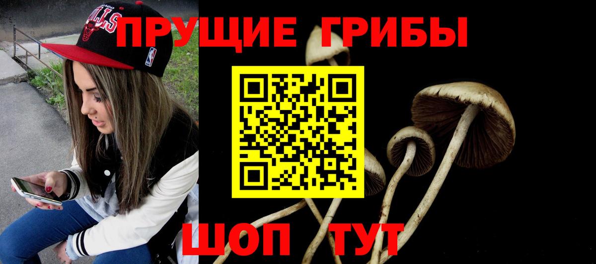 Галлюциногенные грибы мухоморы  дарнет шоп  Вход с VPN  Ярцево  Галлюциногенные грибы Cubensis 